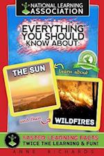 Everything You Should Know about the Sun and Wildfires