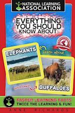 Everything You Should Know about Elephants and Buffaloes