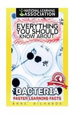 Everything You Should Know about Bacteria