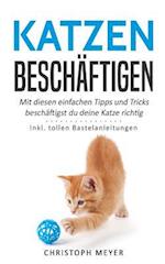 Katzen Beschäftigen