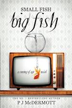 Small Fish Big Fish: A Coming of Age Novel 