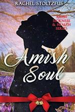 Amish Soul