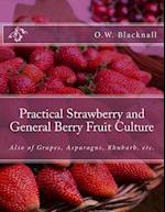 Practical Strawberry and General Berry Fruit Culture