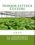 Indoor Lettuce Culture