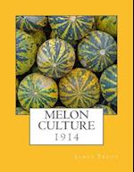 Melon Culture