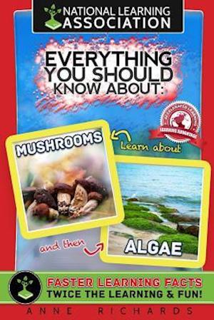 Everything You Should Know about Mushrooms and Algae