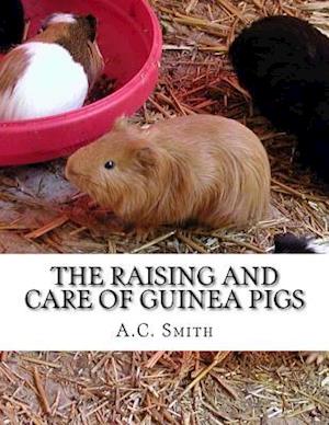 The Raising and Care of Guinea Pigs