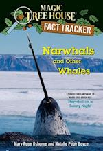 Narwhals and Other Whales