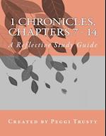 1 Chronicles, Chapters 7 - 14