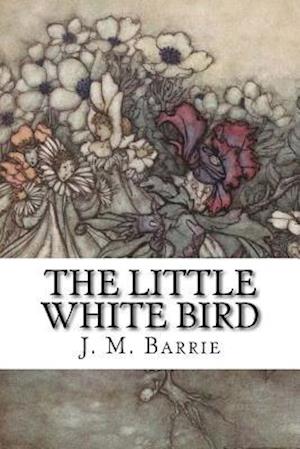 The Little White Bird