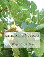 Smyrna Fig Culture