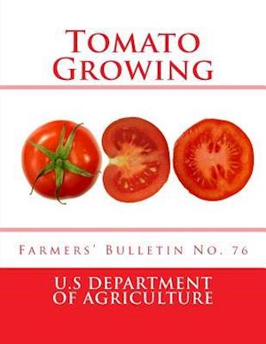 Tomato Growing