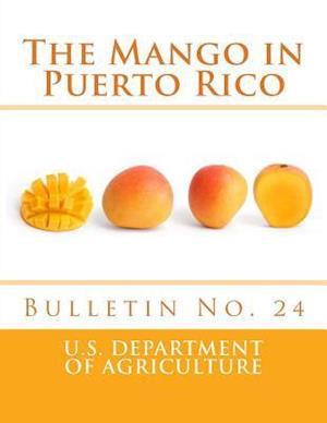 The Mango in Puerto Rico