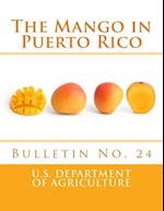 The Mango in Puerto Rico