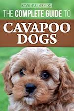 The Complete Guide to Cavapoo Dogs: Everything you need to know to successfully raise and train your new Cavapoo puppy 