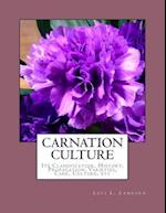 Carnation Culture