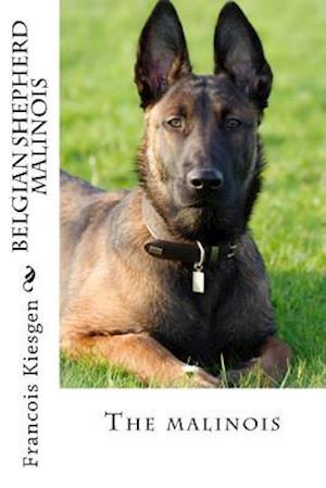 Belgian Shepherd Malinois