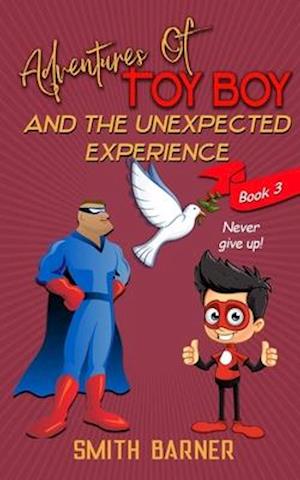 Adventures of Toy Boy and the Unexpected Experience