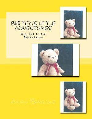 Big Ted's Little Adventures