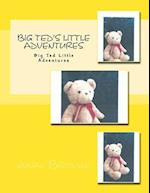 Big Ted's Little Adventures