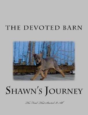 Shawn's Journey