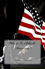 What Is Black America?