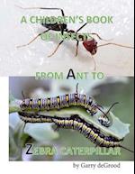 A Children's Book of Insects from A-Z