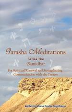 Parasha Meditations