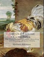 The Old English Game Fowl