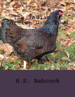 The Indian or Cornish Game Fowl