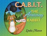 C.A.B.I.T. the Amazing Rabbit