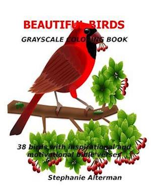 Beautiful Birds