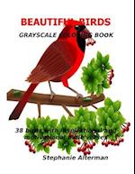 Beautiful Birds