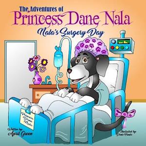 The Adventures of Princess Dane Nala