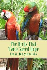 The Bird That Twice Saved Hope