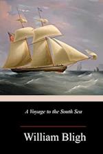 A Voyage to the South Sea