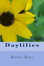 Daylilies