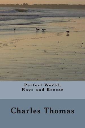 Perfect World