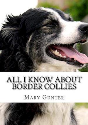 All I Know about Border Collie