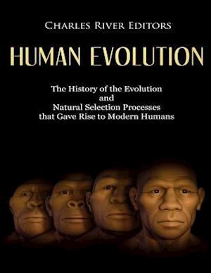 Human Evolution