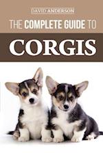 The Complete Guide to Corgis: Everything to know about both the Pembroke Welsh and Cardigan Welsh Corgi dog breeds 