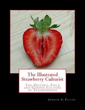 The Illustrated Strawberry Culturist