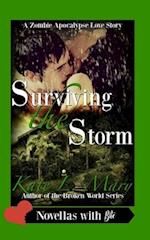 Surviving the Storm