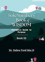 SoleNumbers Book of Wisdom: Energetic Guide to Purpose 