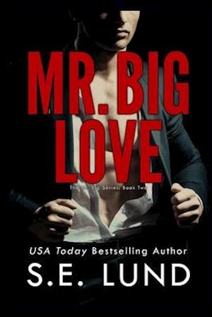 Mr. Big Love