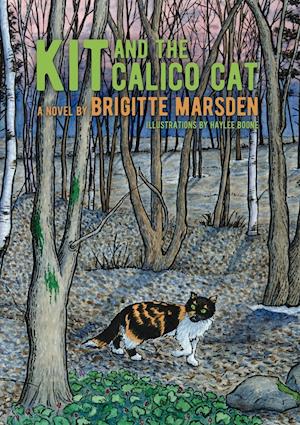 Kit and the Calico Cat