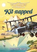 Flying Furballs 5: Kit-napped