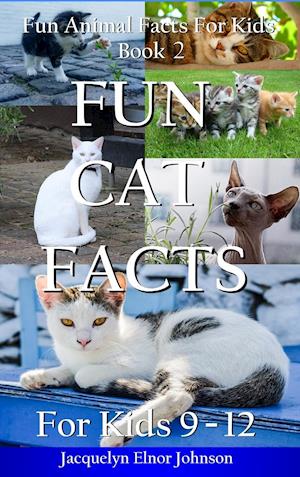 Fun Cat Facts for Kids 9-12