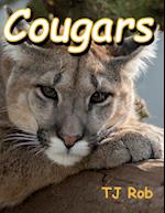Cougars