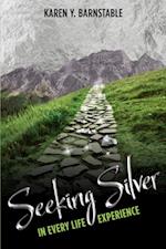 Seeking Silver:
